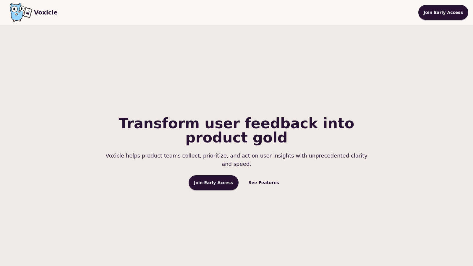 Voxicle application interface and features
