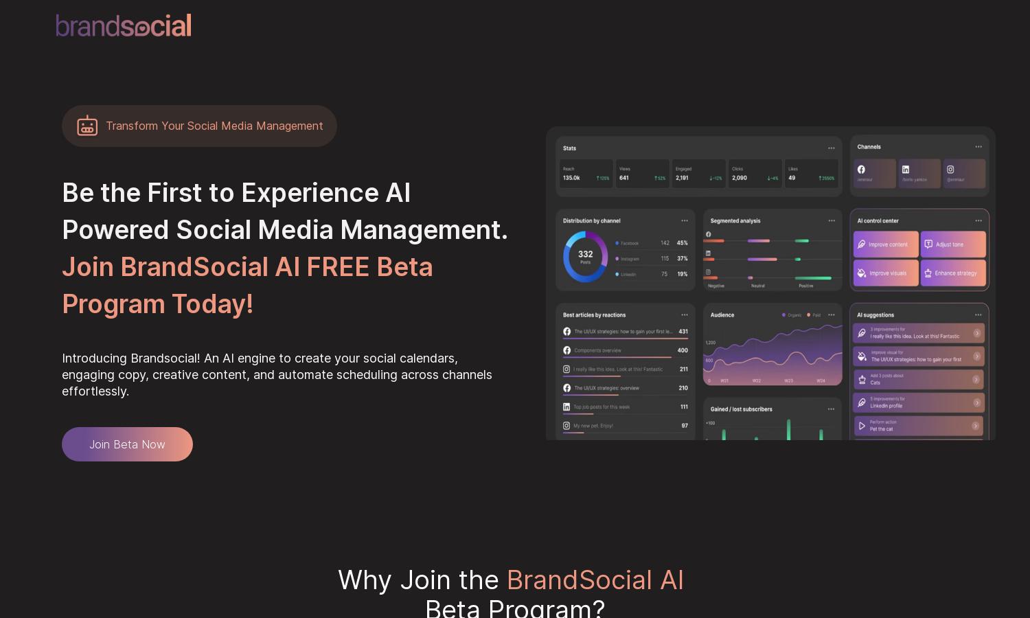 BrandSocial Website