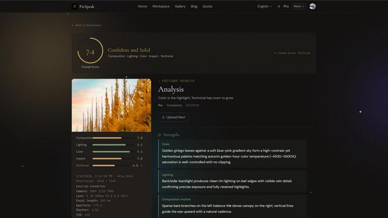 PicSpeak application interface and features